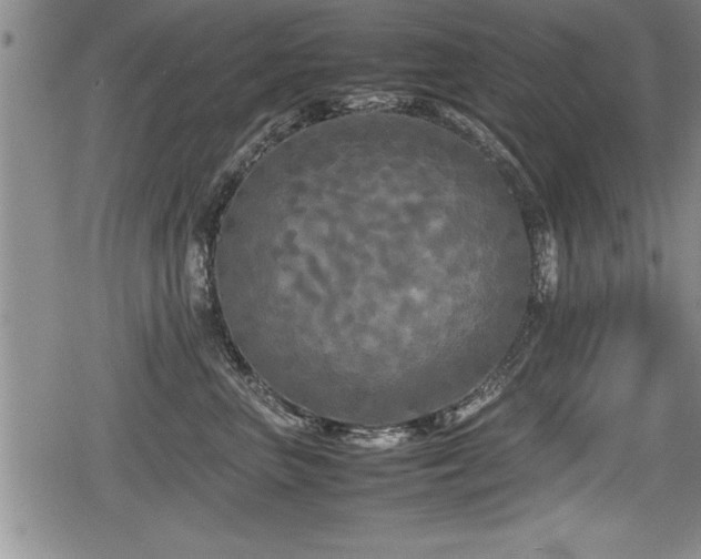 X0000080800667200612151505