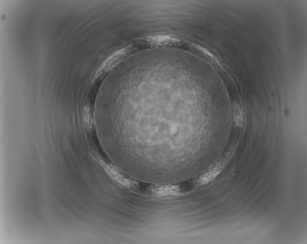 X0000080800670200612151505