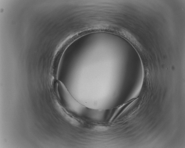 X0000080800676200612151504