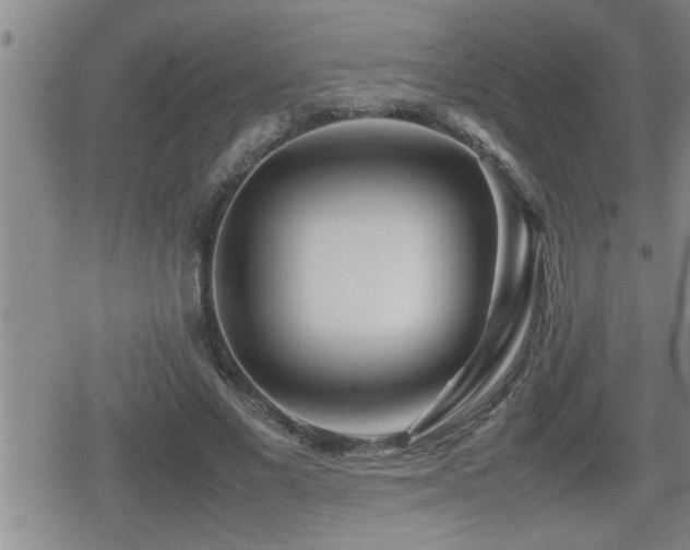 X0000080800685200612151504