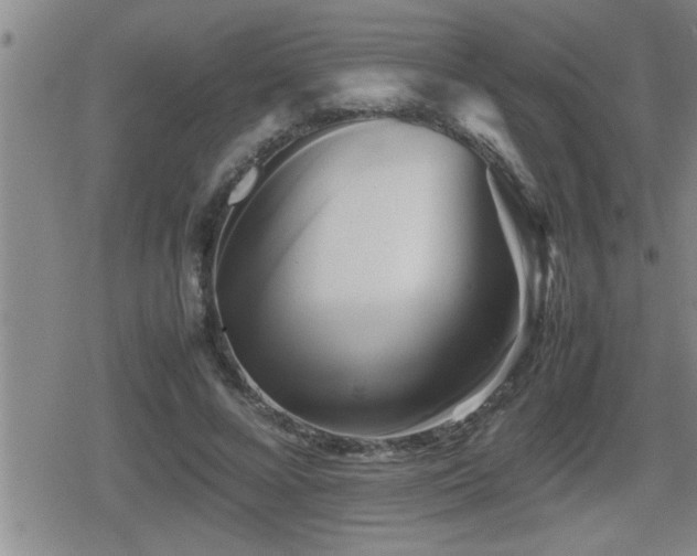 X0000080800688200612151504