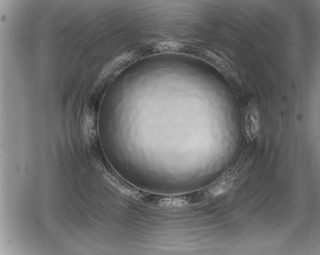 X0000080800714200612151503