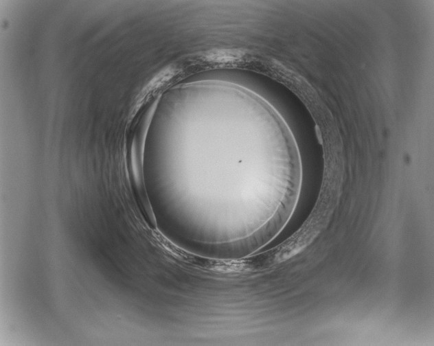 X0000080800720200612151503