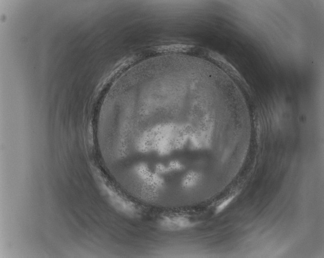 X0000080800729200612151502
