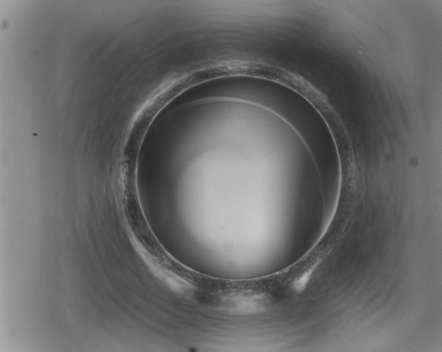X0000080800730200612151502