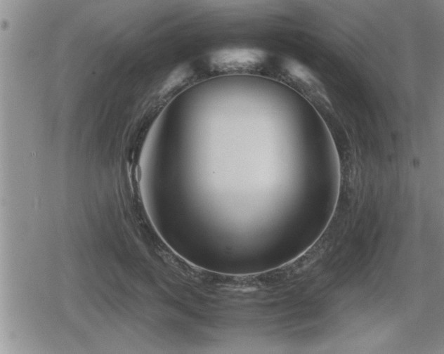 X0000080800743200612151503