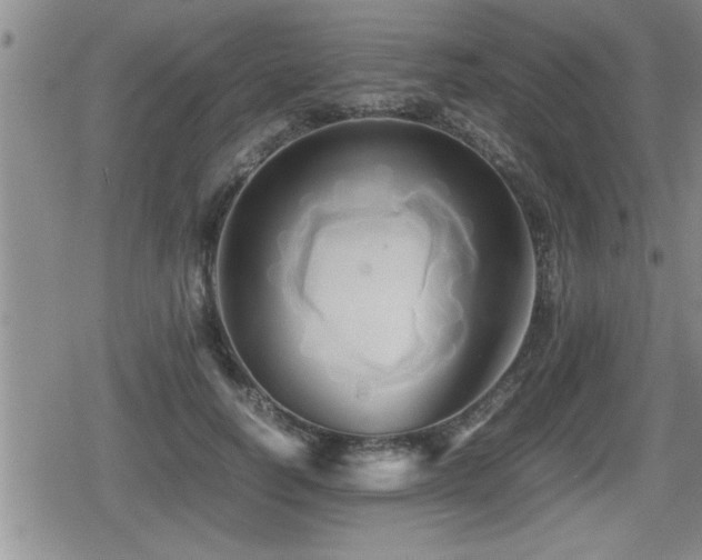 X0000080800746200612151503