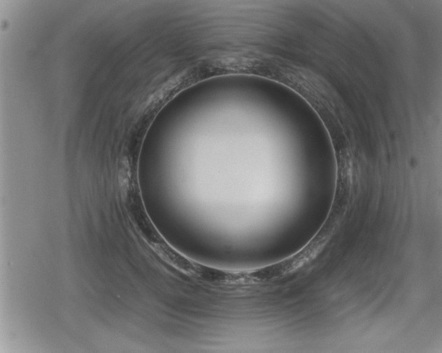 X0000080800752200612151503