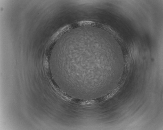 X0000080800761200612151503
