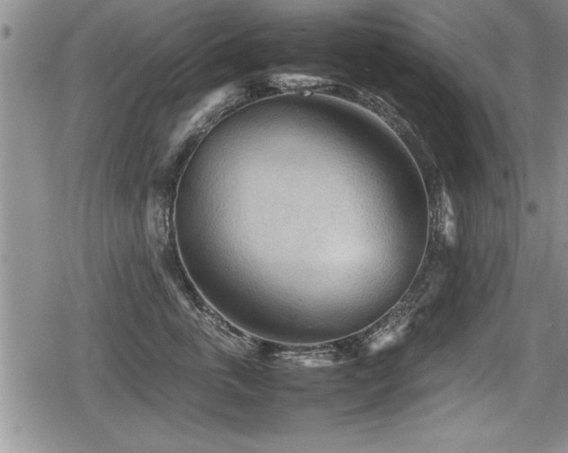 X0000080800763200612151503
