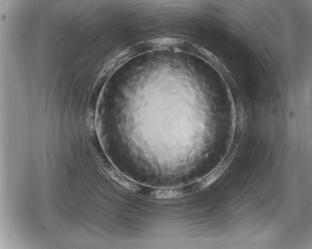 X0000080800766200612151503