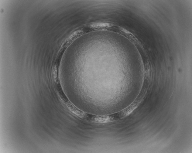 X0000080800767200612151503