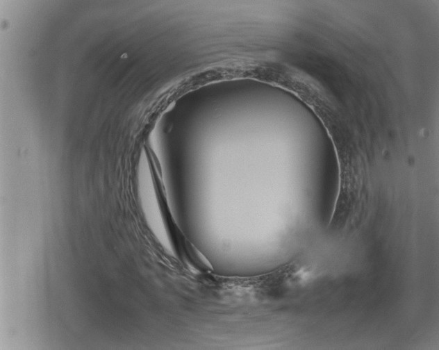 X0000080800773200612151502