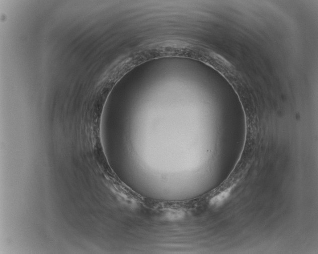 X0000080800774200612151502