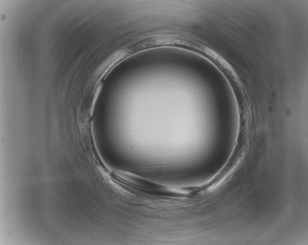 X0000080800801200612151502