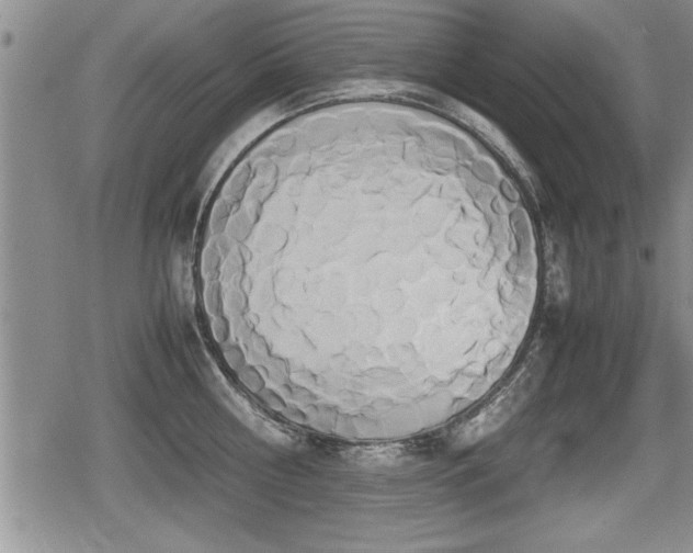 X0000080800810200612151502