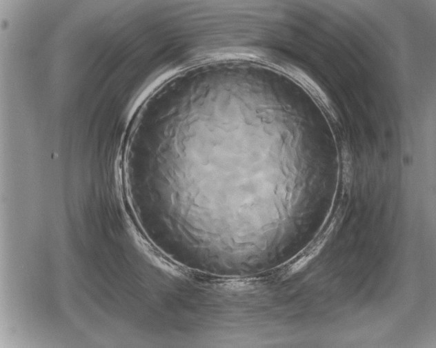 X0000080800814200612151502