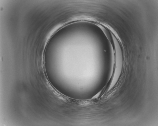 X0000080800815200612151501