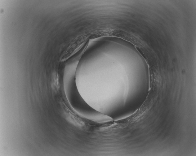 X0000080800818200612151501