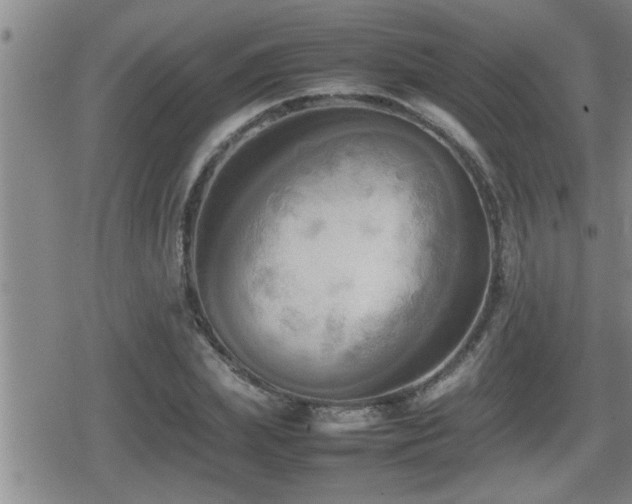 X0000080800831200612151501