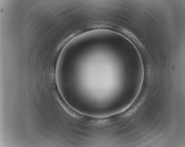 X0000080800841200612151501