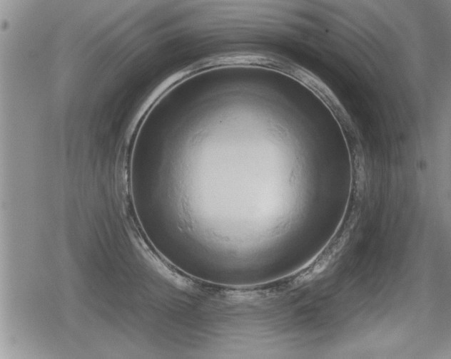 X0000080800852200612151501