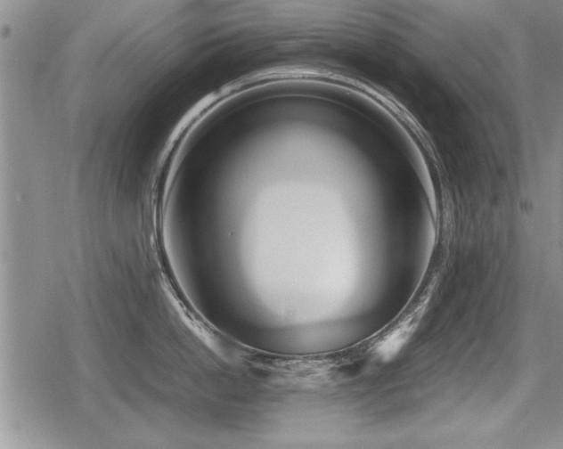 X0000080800862200612151501