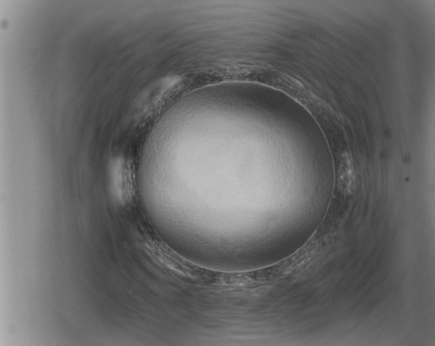 X0000080800866200612151501