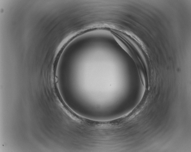 X0000080800894200612151500