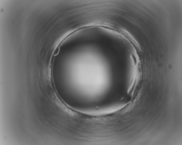 X0000080800900200612151500