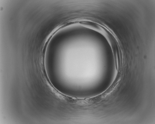 X0000080800909200612151500