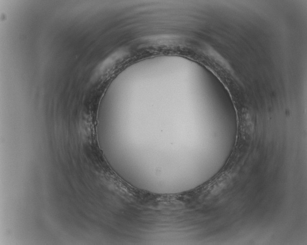 X0000080800918200612151459