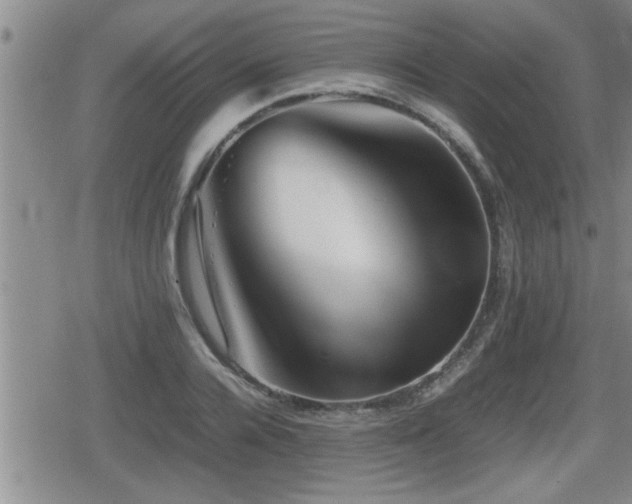 X0000080800936200612151459