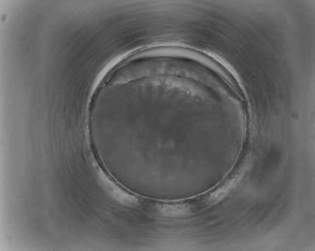 X0000080800941200612151500
