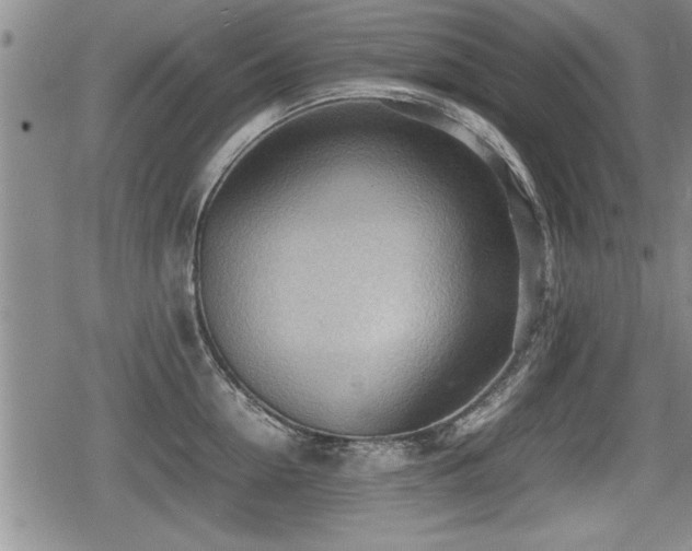 X0000080800954200612151500