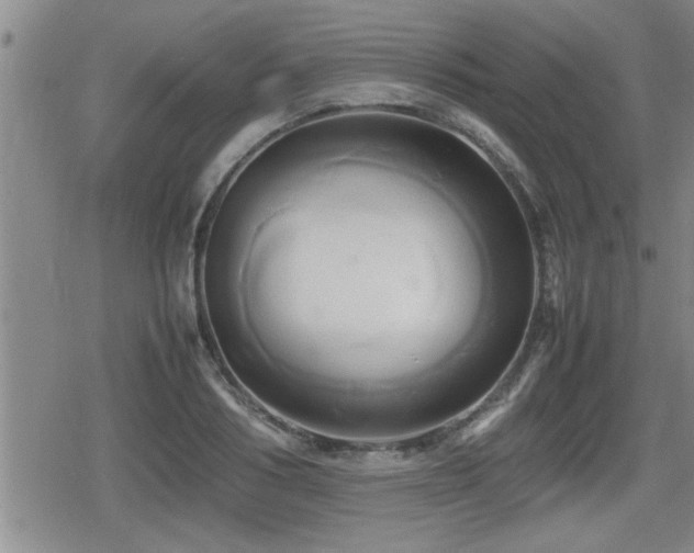 X0000080800986200612151459