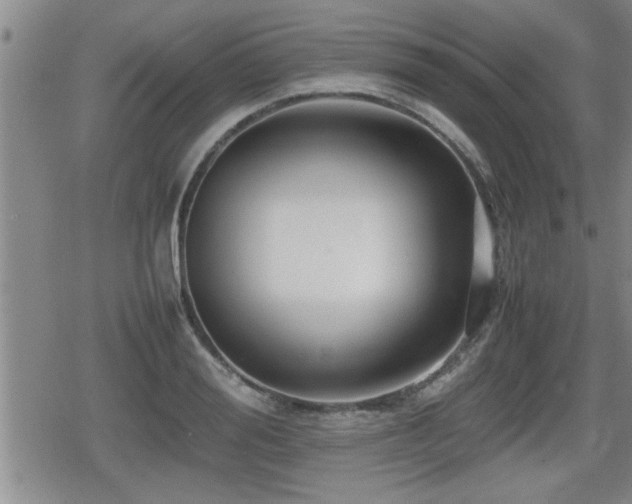 X0000080800988200612151459