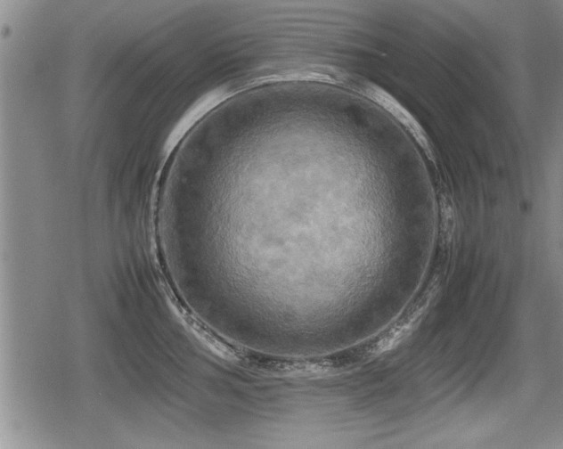 X0000080801002200612151458