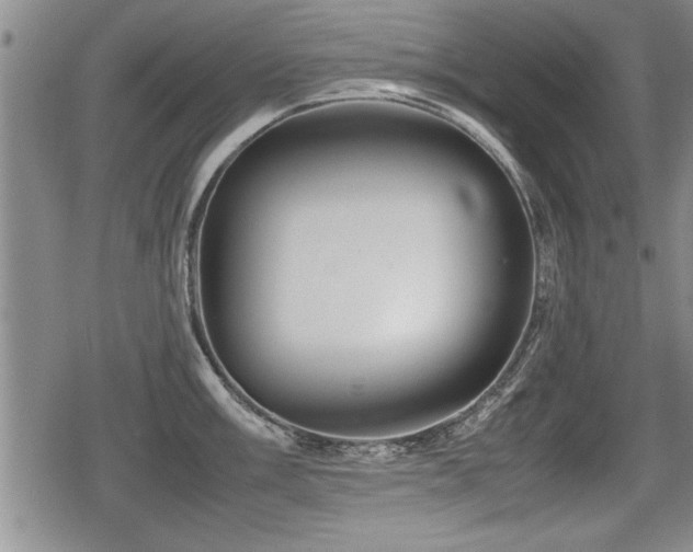 X0000080801003200612151458