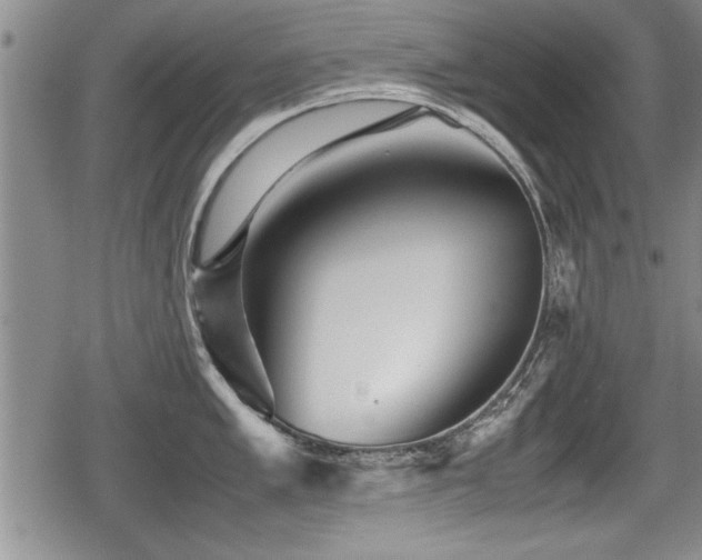 X0000080801005200612151458