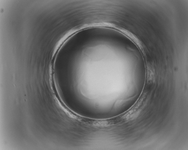 X0000080801006200612151458