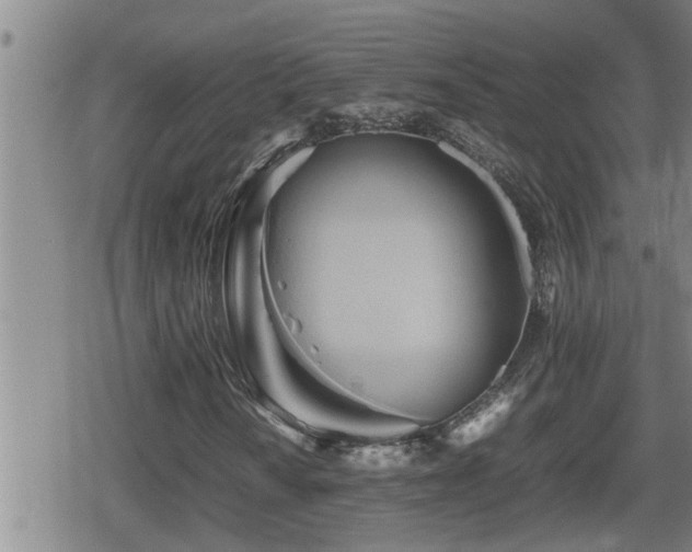 X0000080801010200612151458