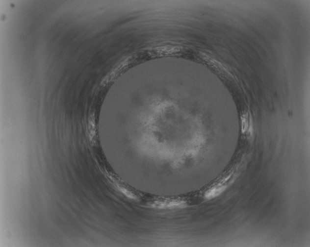 X0000080801011200612151458