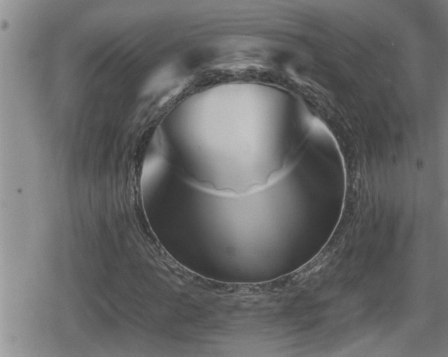 X0000080801014200612151458