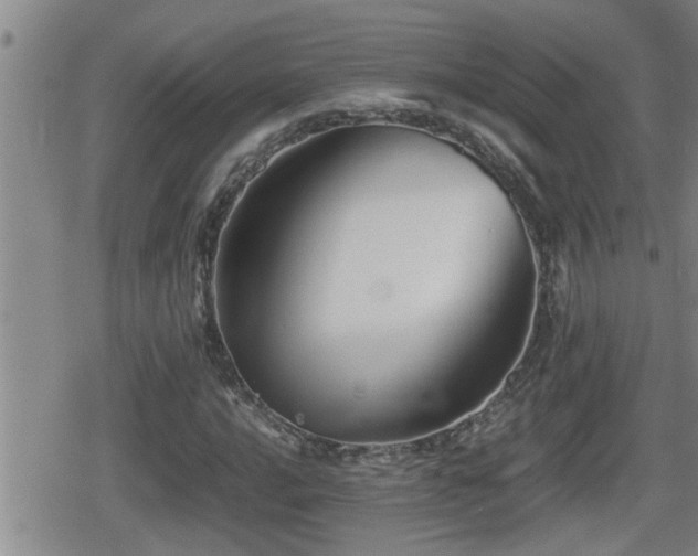 X0000080801016200612151458