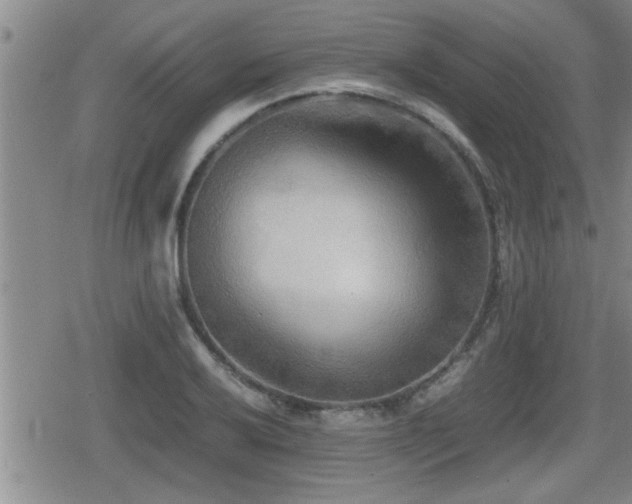 X0000080801032200612151458