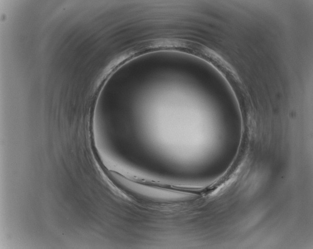 X0000080801033200612151458