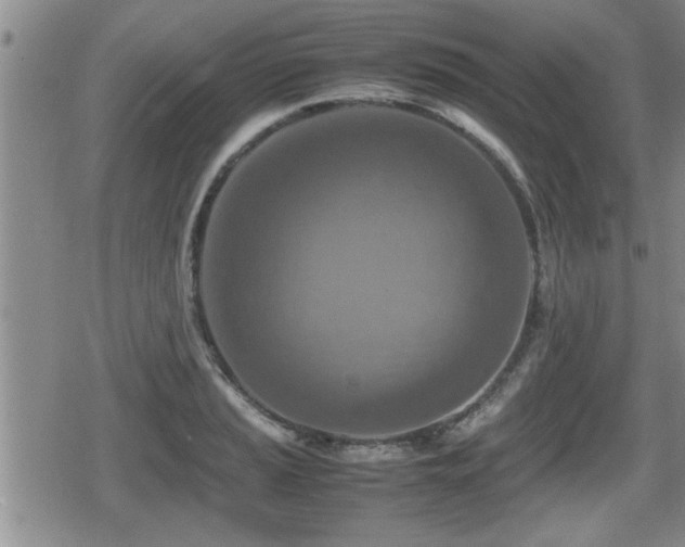 X0000080801037200612151458