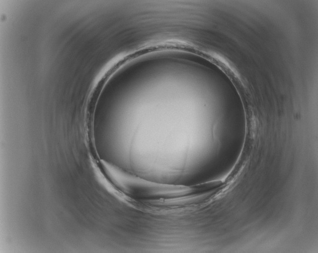 X0000080801038200612151458