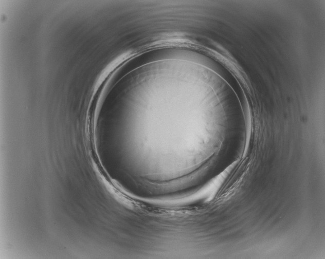 X0000080801050200612151458